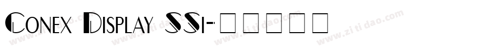 Conex Display SSi字体转换